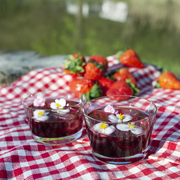 ����� ��������� Roma 270�� 4404 270