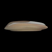 ����� ������������ Forager 34,3�17,3�� 6163RG151