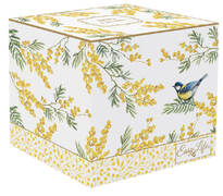 ������ Mimosa 350�� R0918#MIMO