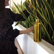 ����������� Sleek Gold 510�� 57501