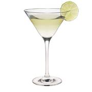 ����� ��� ������� Edition 210�� 60062800