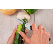 ��� ��� ������ Maitre 10�� 150300