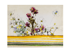 ���� �������� ������������� Patricia 35�45�� 747-024