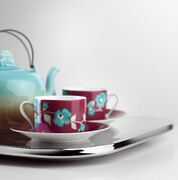 ���� Moon 45�31�� 86301005