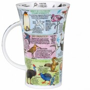 ������ Glencoe World of birds 500��