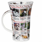 ������ Glencoe World of cat 500��