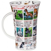 ������ Glencoe World of dog 500��