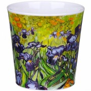 ������ Cairngorm Irises 480��