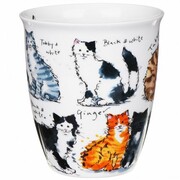 ������ Nevis Messy cats 480��