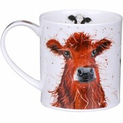 ������ Orkney Shaggy tails cow 350��