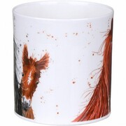 ������ Orkney Shaggy tails horse 350��