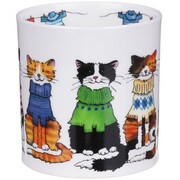 ������ Orkney Trendsetters cat 350��