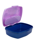 ����-���� �� ��������� ��������� Frozen 17x14x6�� 74209