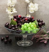 ���������� �� ����� Patisserie 32�� 95105v