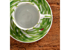 ����� ��� ���� � ������� Erbe 100�� 11-191