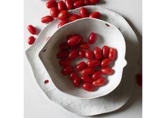 ����� ������� Foglia 31�� 55-16