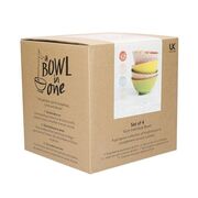 ���� ��� Brights 15,5�� KCBOWL15PK4BR