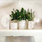 ���� Augusto Eye White 15,5�9�11�� H225700015