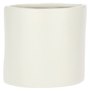 ���� Augusto Eye White 15,5�9�11�� H225700015