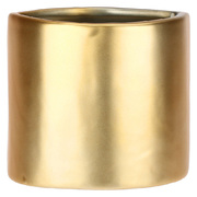 ���� Augusto Mouth Gold 11�9�10�� H225700021