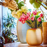 ���� Nebula ������ 28,5�26,5�13�� U30371109N24