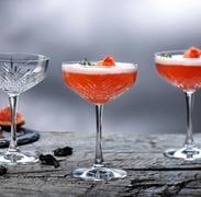 ���� ������� ��� ������������ Timeless 255�� 440236-4