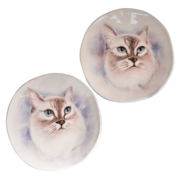 ������ �������� �������� ʳ� �������� 20�� A0206