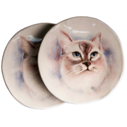 ������ �������� �������� ʳ� �������� 20�� A0206