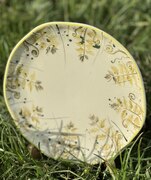 ������� ��������� �������� ����� ����������� 20�� A0215