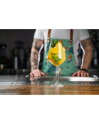 ���� ������� ��� ���� Alkemist 670�� 26522020006