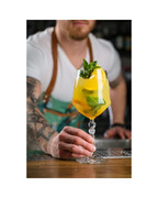 ���� ������� ��� ���� Alkemist 670�� 26522020006