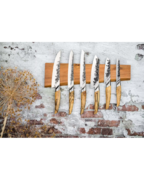 ������ ��������� 45�� MagnNatuurAca