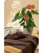 ���� Soft ����� 90�130�� 4823093410442