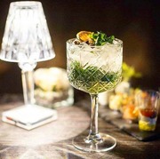 ����� ��� ��������� Timeless 490�� 440237-1