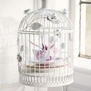 ����� ��� ��� � ������� Harlequin Cuckoo 180�� 3000002919