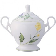 ������ ������ English Herbs 6/16 4944_T16A