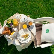 ������ � ������� Accompanist 3,5� 4886L/93629