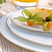 ������ � ������� Accompanist 3,5� 4886L/93629