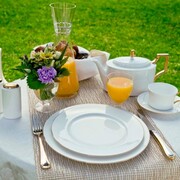 ������ � ������� Accompanist 3,5� 4886L/93629