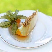 �������� Accompanist 17,5�17,5�� 4886L/97348