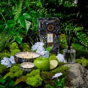 ���������� Japonica Apple Blue Clover 113� 72124