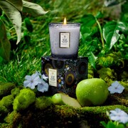 ���������� Japonica Apple Blue Clover 255� 73424