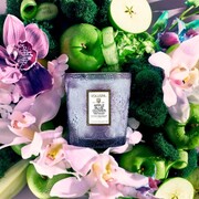 ���������� Japonica Apple Blue Clover 255� 73424