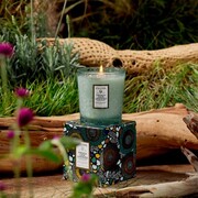 ���������� Japonica French Cade Lavender 255� 7344