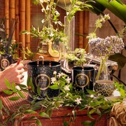 ���������� Maison Noir Jardin De Verveine 113� 8218