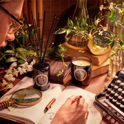 ���������� Maison Noir Jardin De Verveine 270� 8208