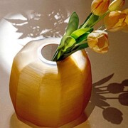 ���� Nebula Amber M 33�29�32�� U30369109N24