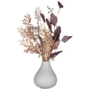 ���� Lucca 15,5�� AR3802G