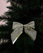 ����� �������� ������������ 10�� 5900779856165_2