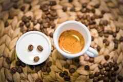 ���������� ��� ���� On the go ����� 50�� 12680031